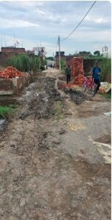 नई सड़क का कार्य प्रस्तावित