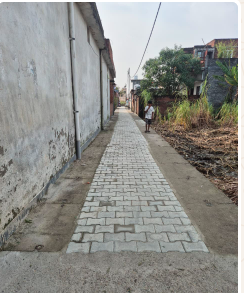 नाली के साथ इंटरलॉकिंग मार्ग
